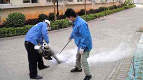 深圳消毒杀虫服务