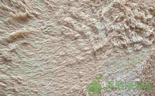 地毯清洁三个常见的误区，用错了方法，难怪清洗不干净(图6)